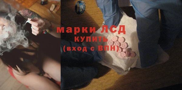 хмурый Алексин