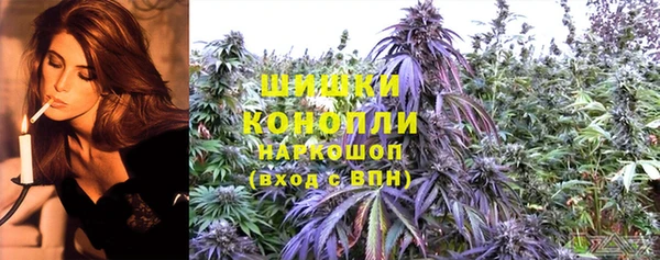 apvp Алзамай