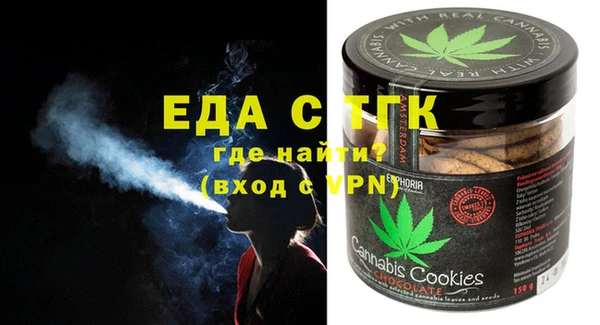 хмурый Алексин