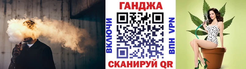 Конопля планчик Лесной